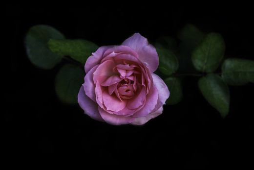 1089596 (a): :2048x1365